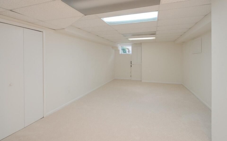 Basement before remodel - drop ceiling, fluorescent lights and wall-to-wall carpet